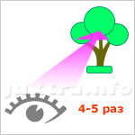 улучшение зрения без очков